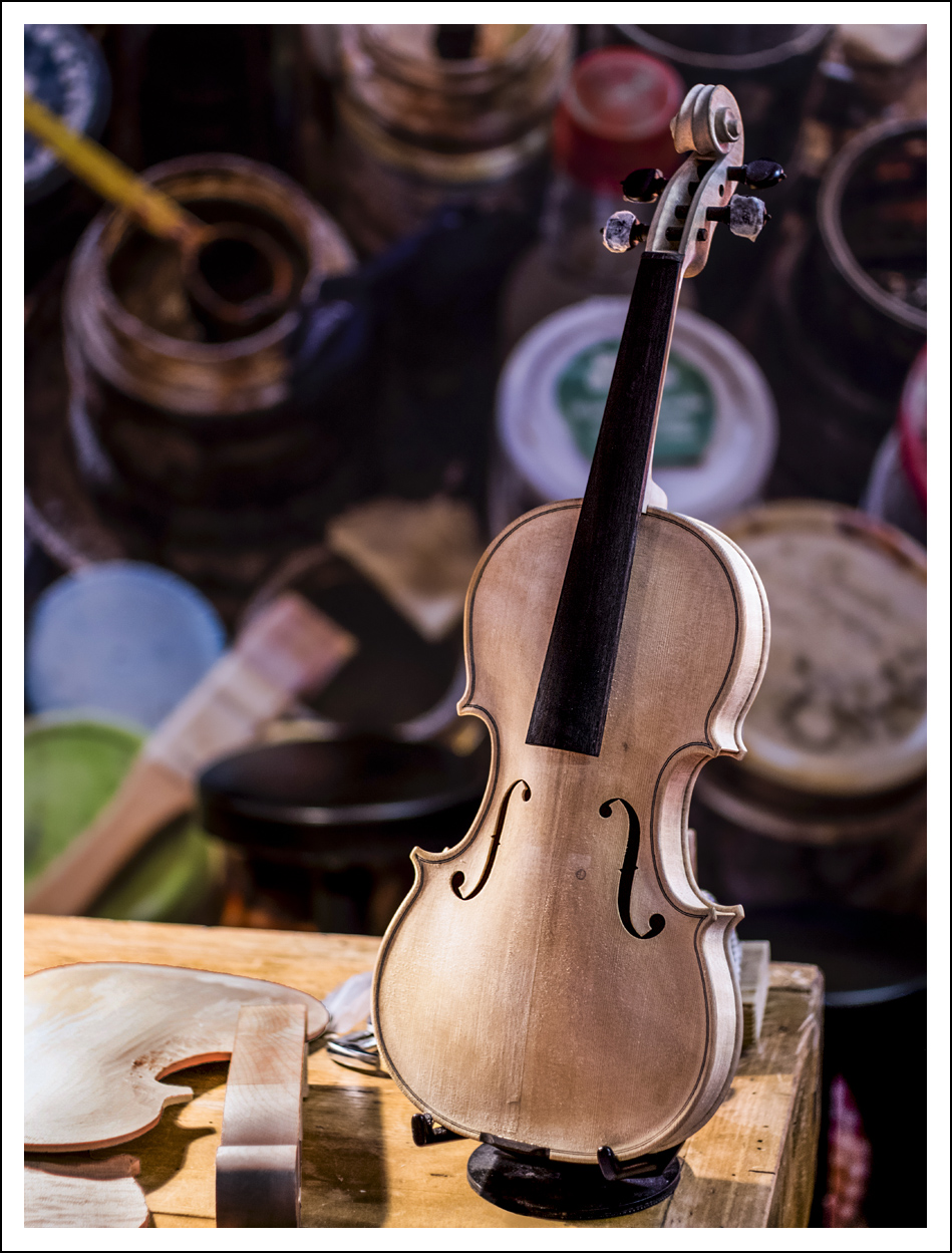 Nascita di un violino
