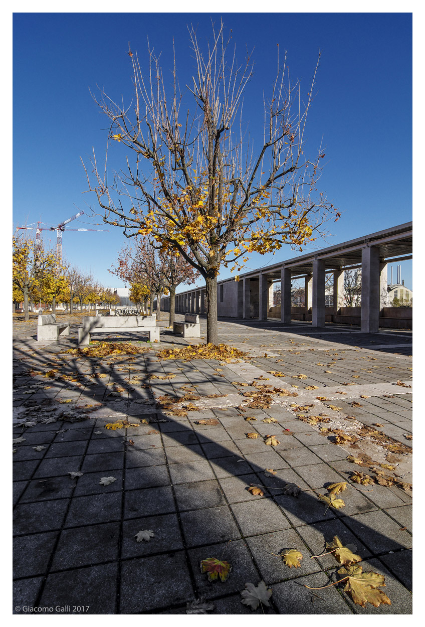 Autunno