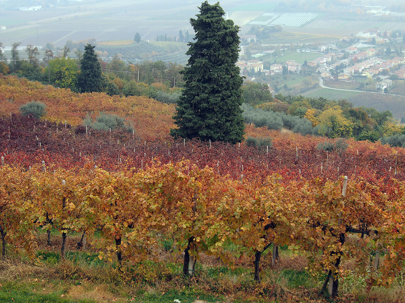 Autunno