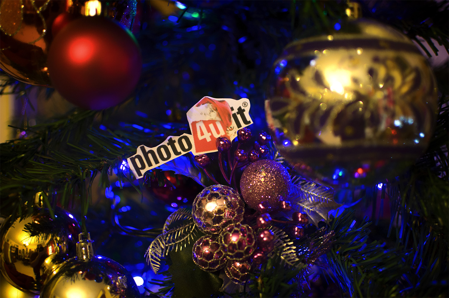 Auguri