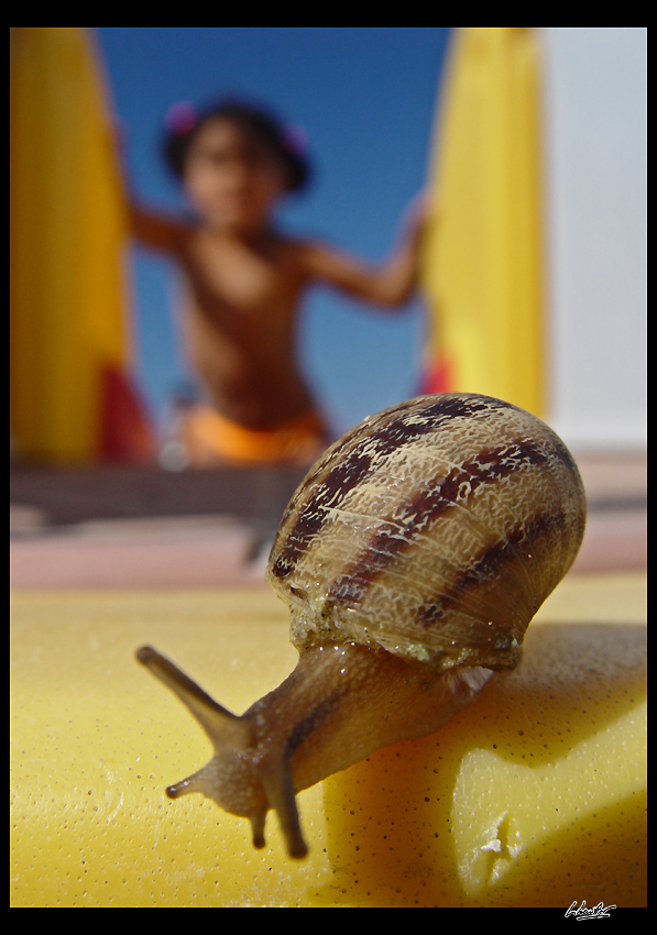 Piccoli? (di eyeinthesky)
