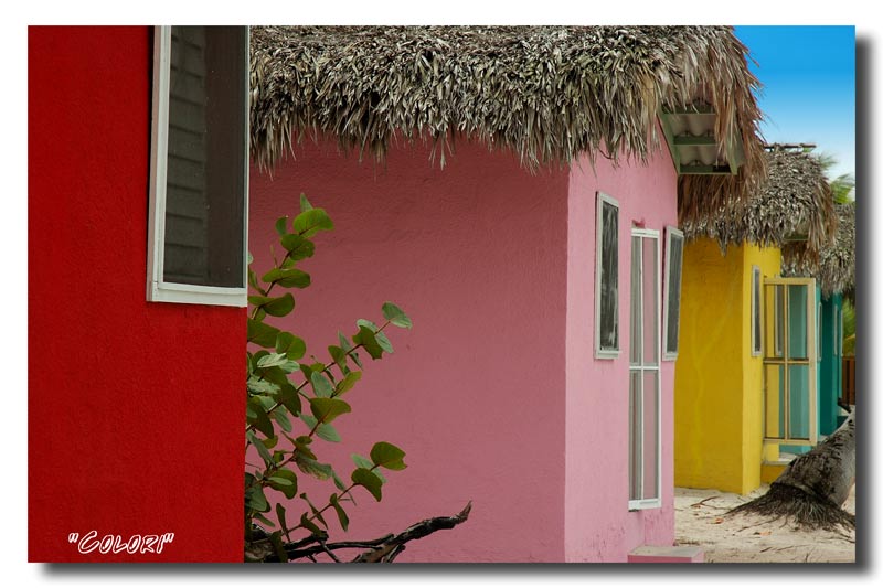 colors