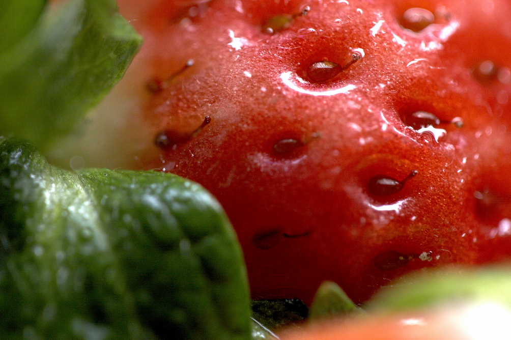 MacroFragola