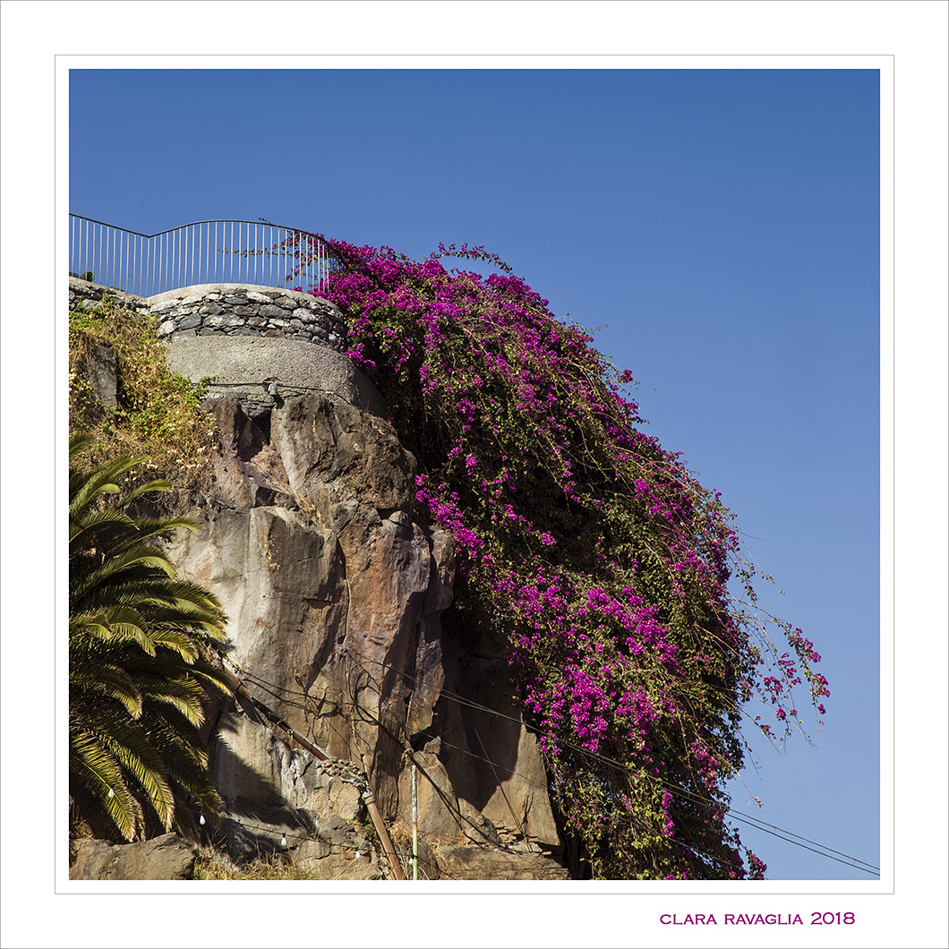 Madeira. Una terrazza sui colori.