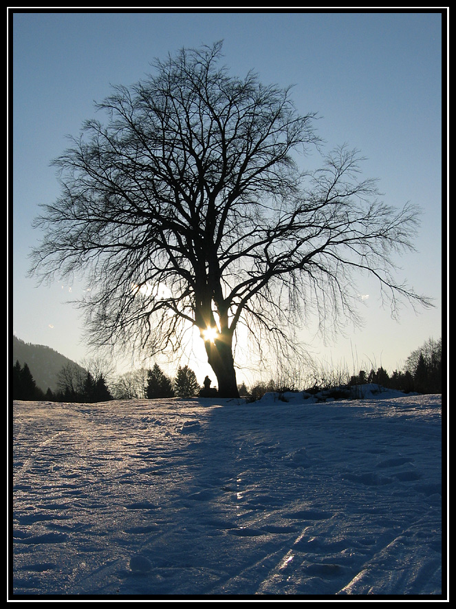 Bacio prima del tramonto