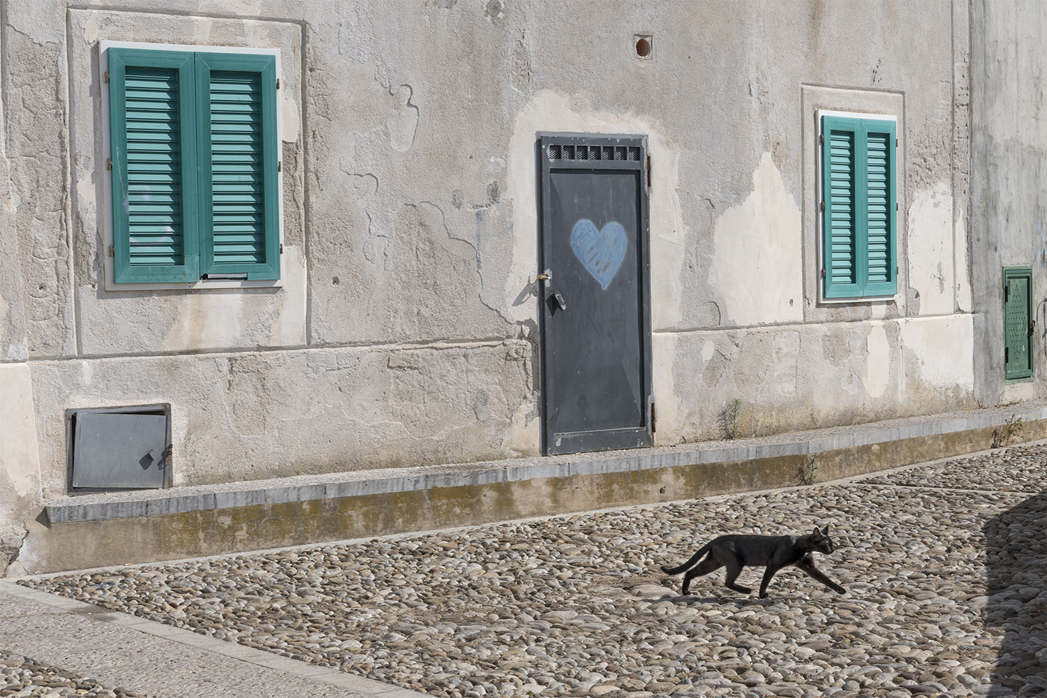 Gatto nero con cuore