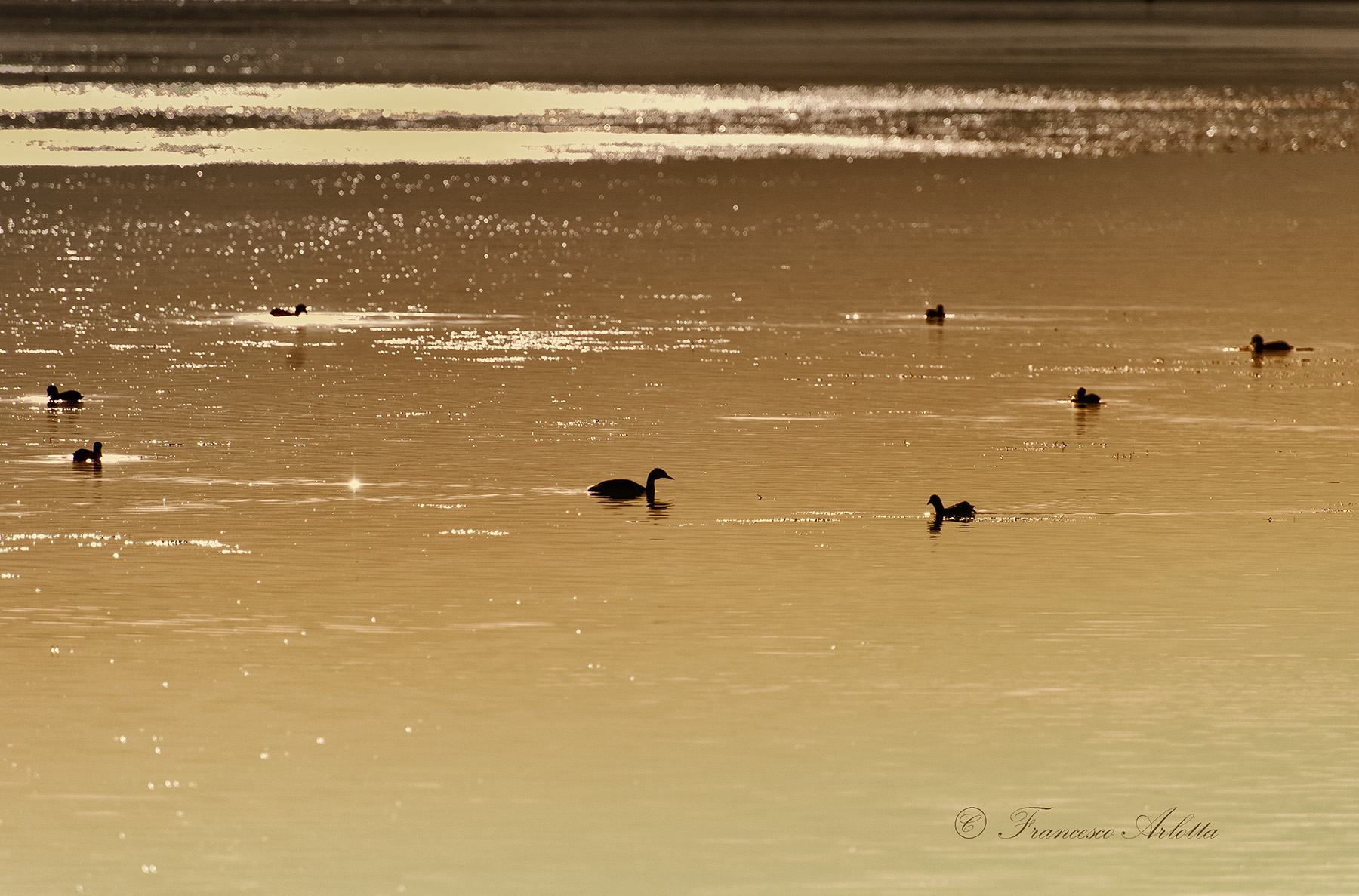 Lago Trasimeno