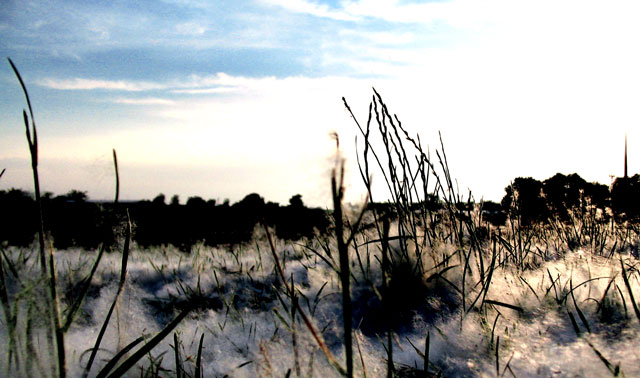 Bagliore all' alba