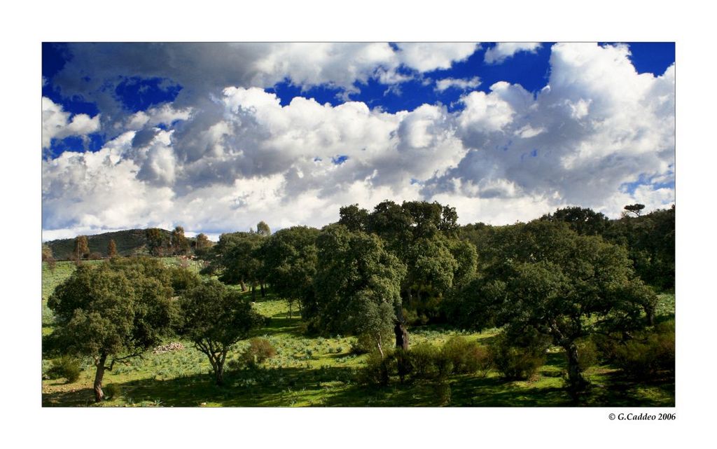 Countryside