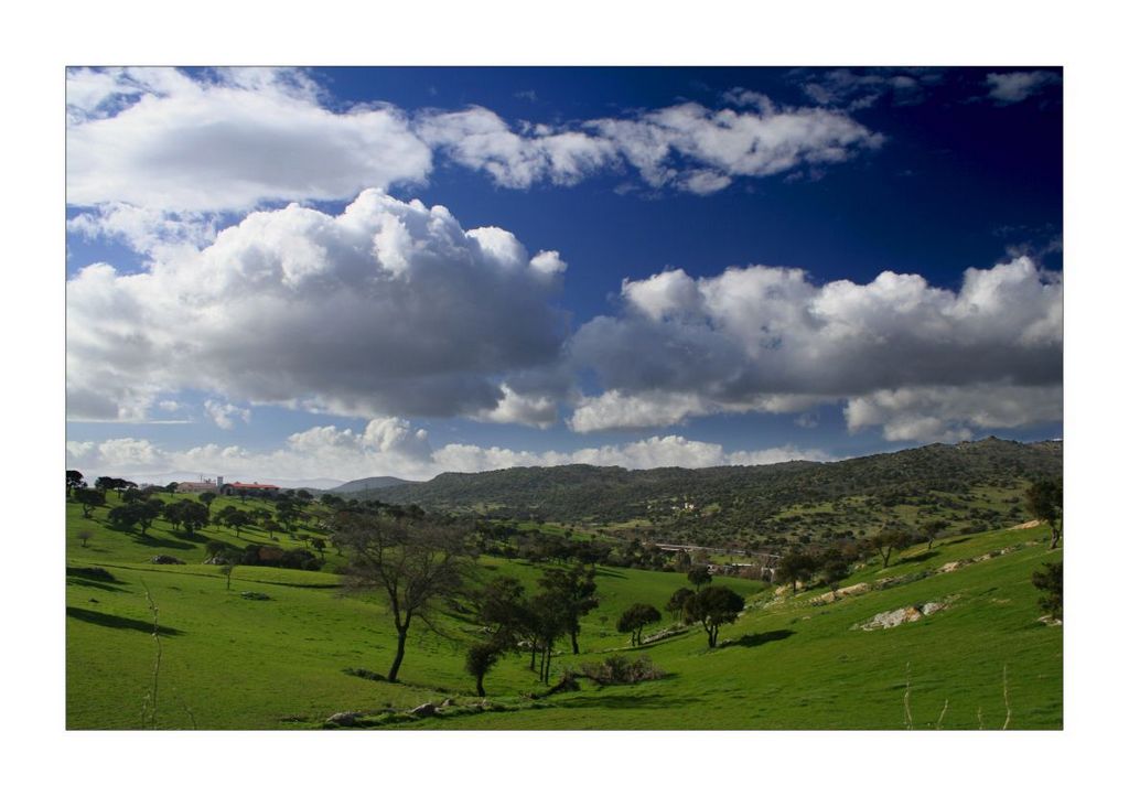 Green valley