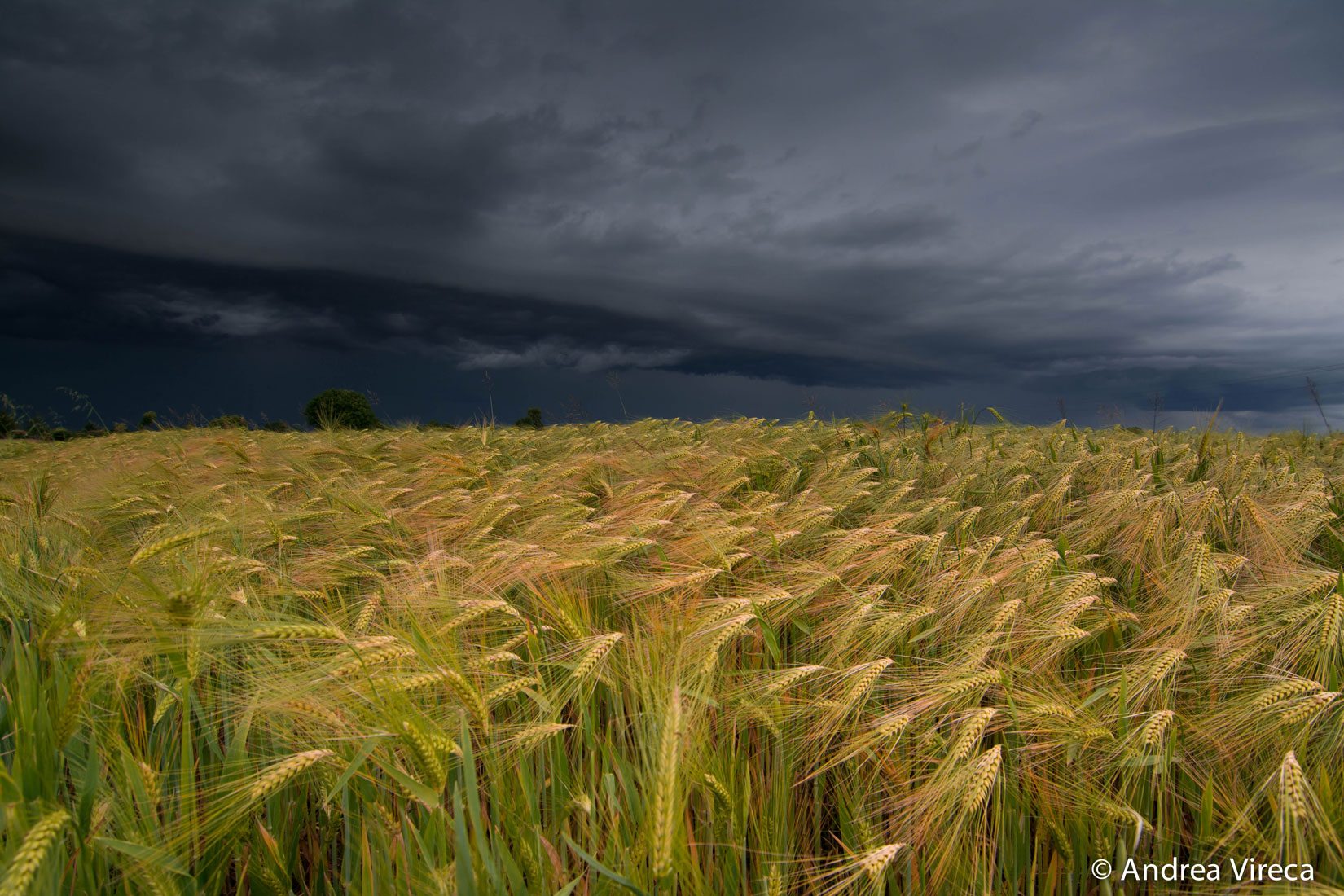 Temporale estivo