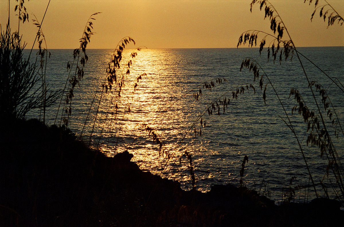 Golden hour on the beach