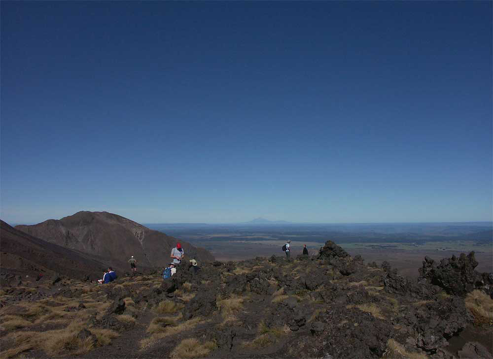 nz9