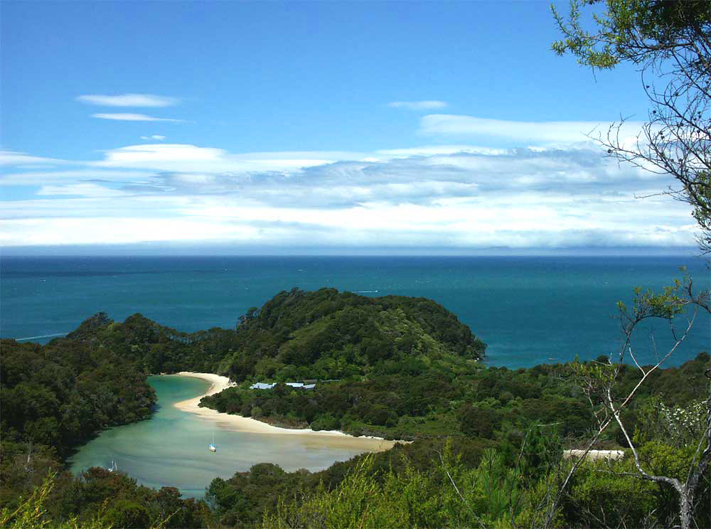 nz14