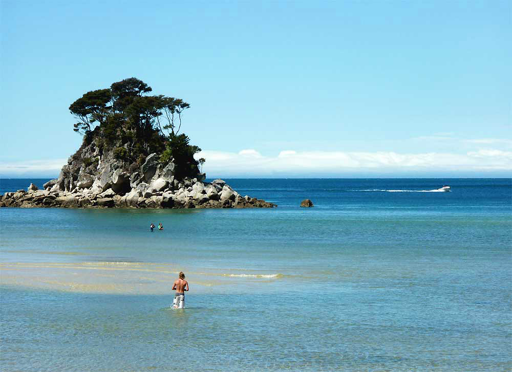 nz15