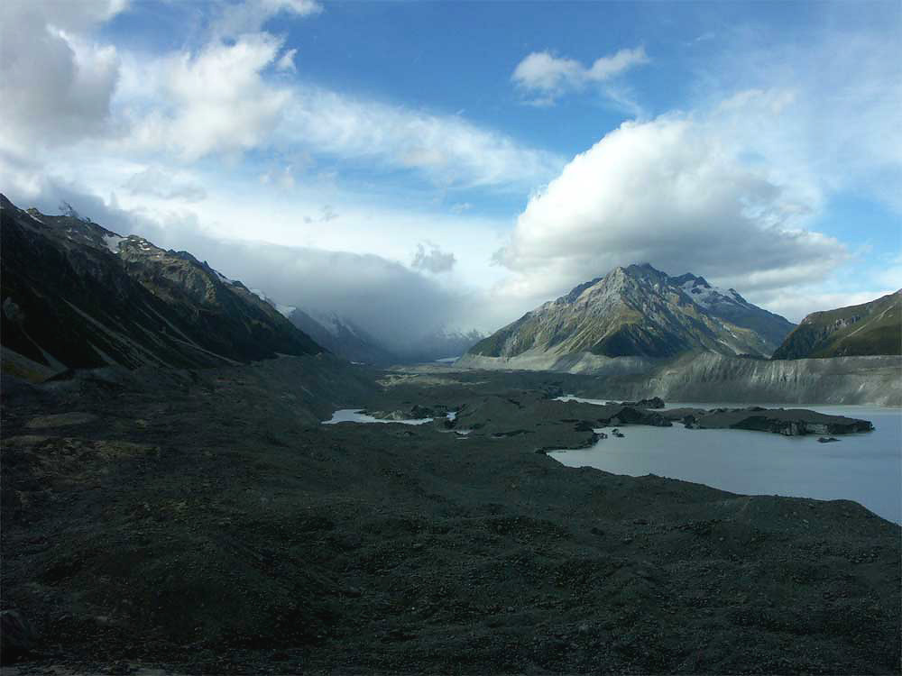 nz19