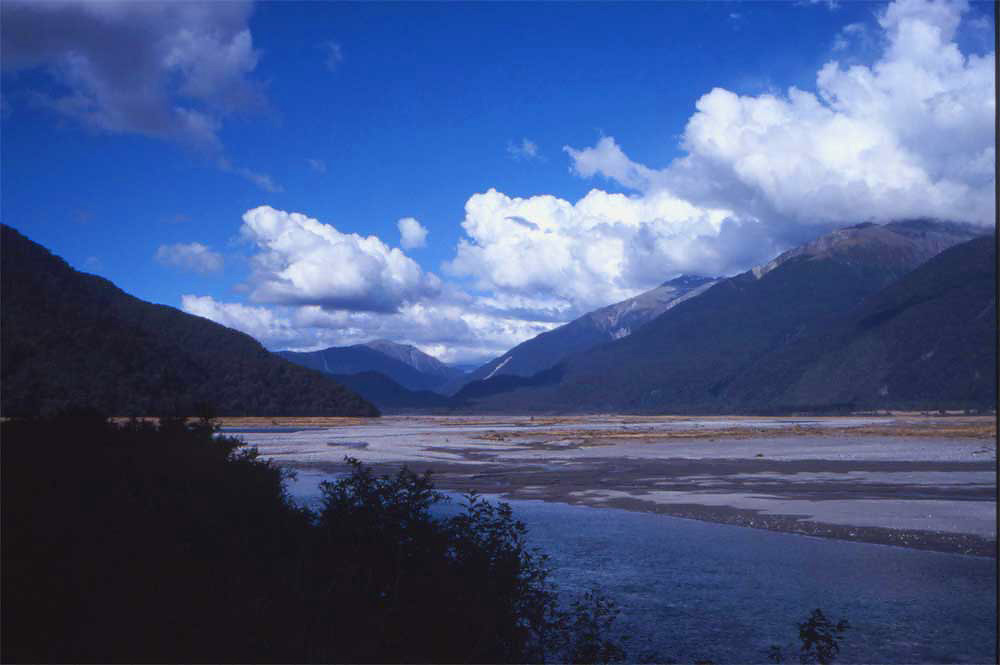 nz20