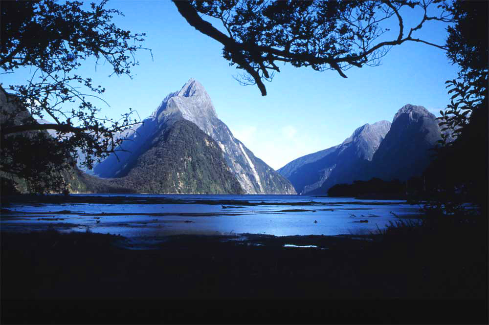 nz22