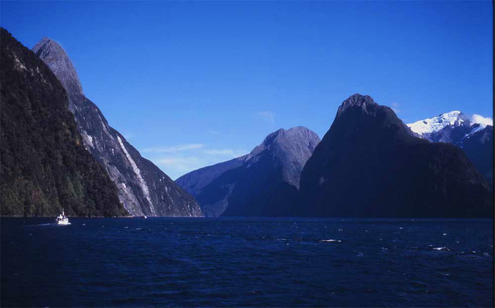 nz23