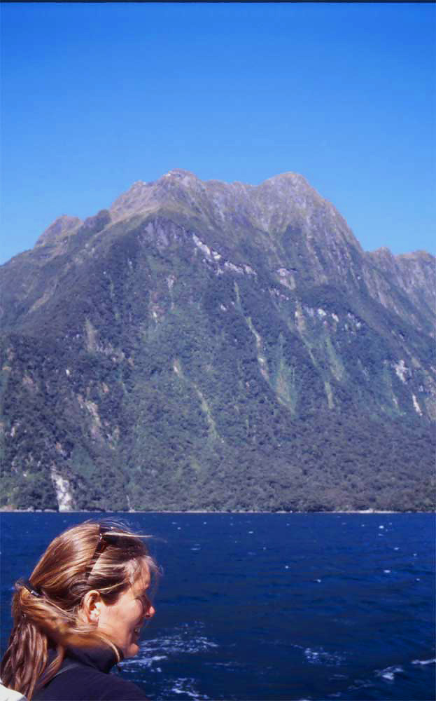 nz24