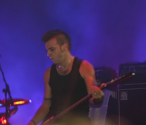 gallup