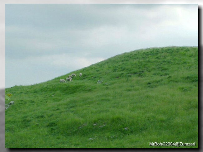 Ireland In Toscania