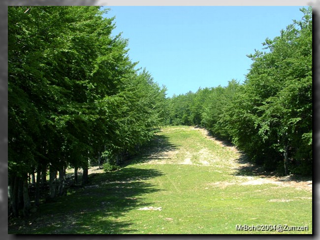 Mountain Street