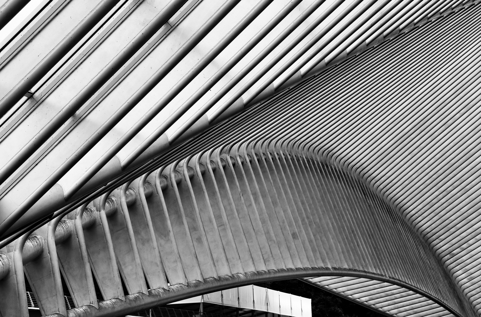 Calatrava, Liegi - Stazione Guillemin