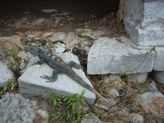 mexico3