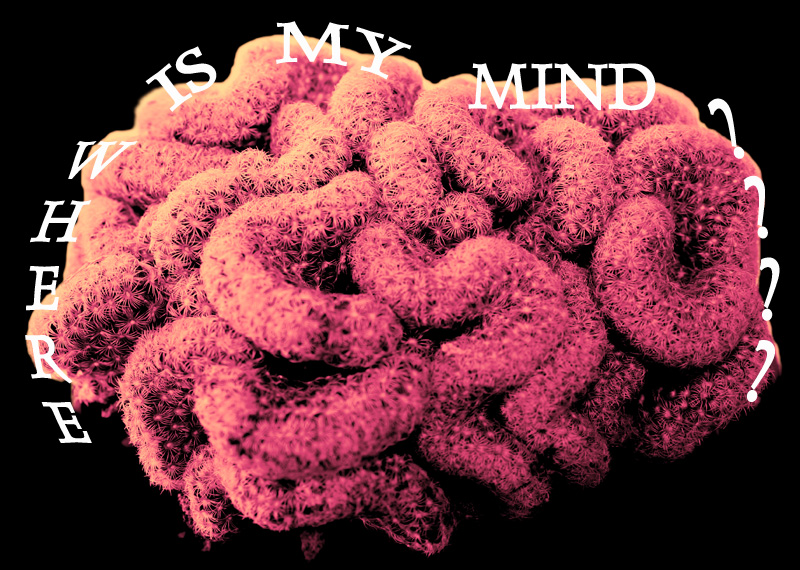 MIND