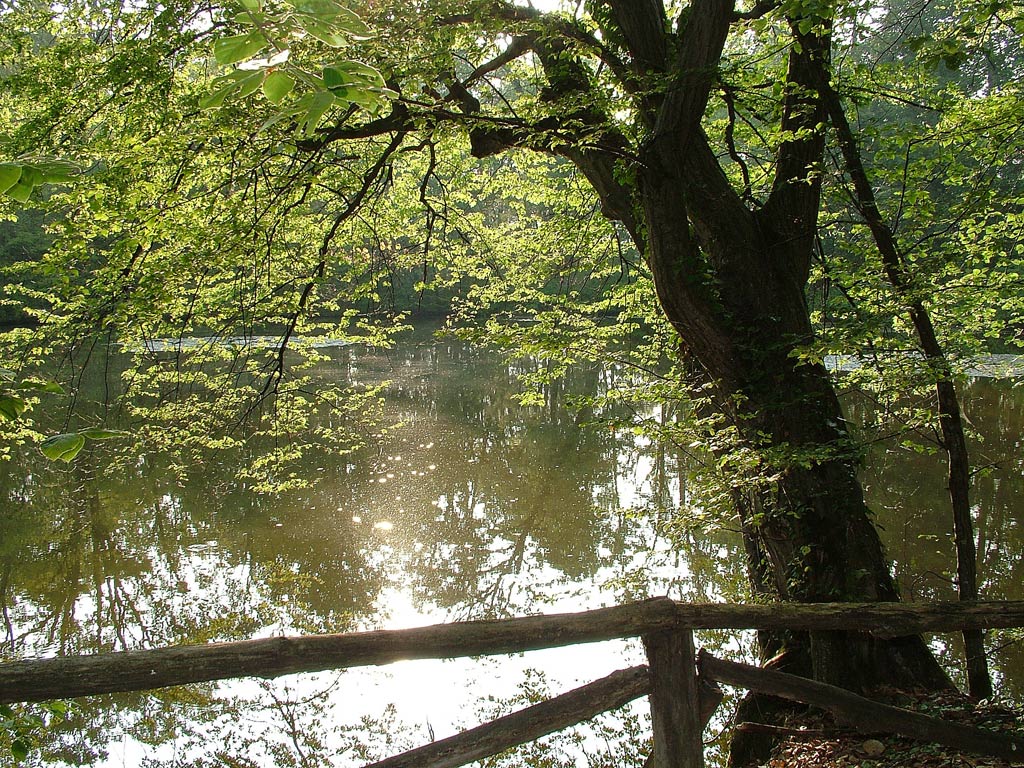 Parco del castello di Agli
