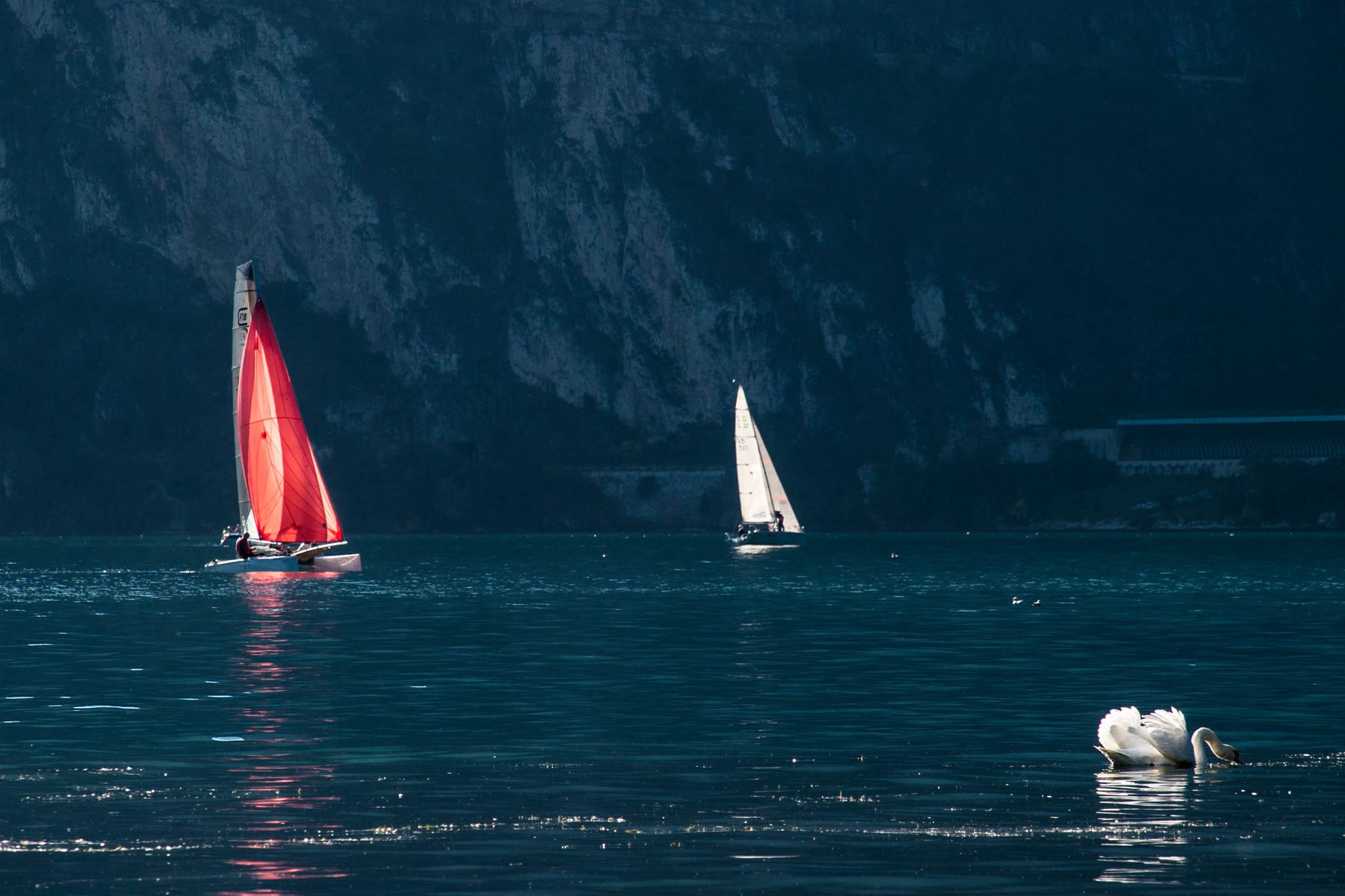 bianco, rosso, blu