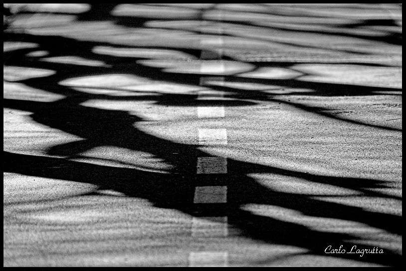 Ombre sul viale