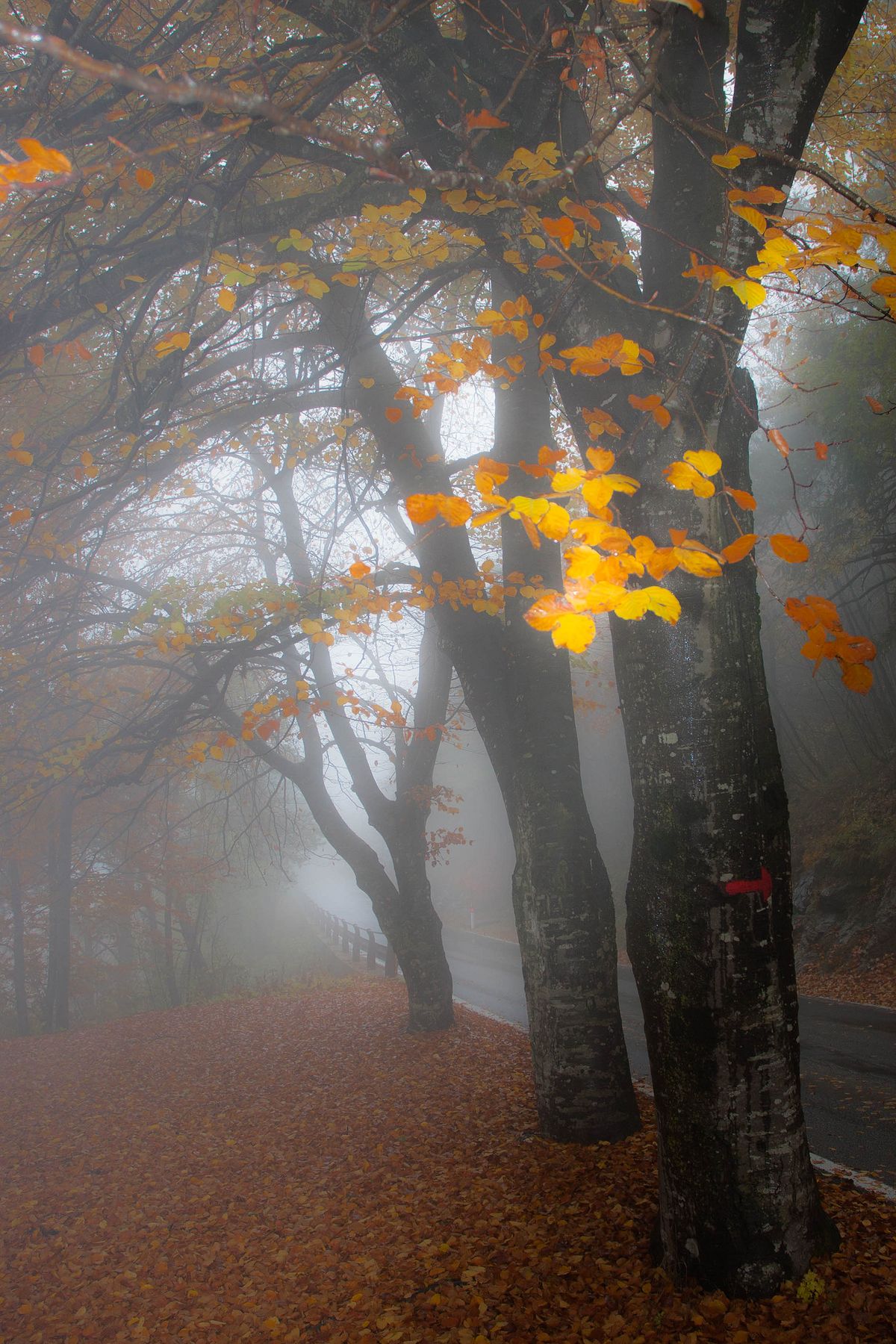 autunno