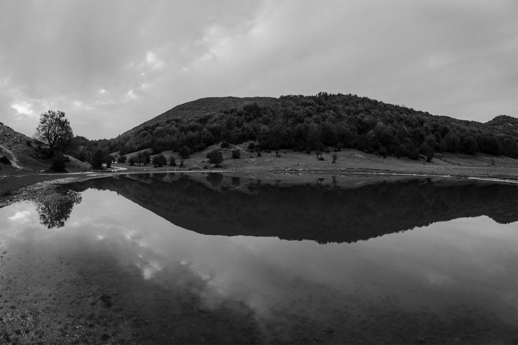 Campo Segni RM