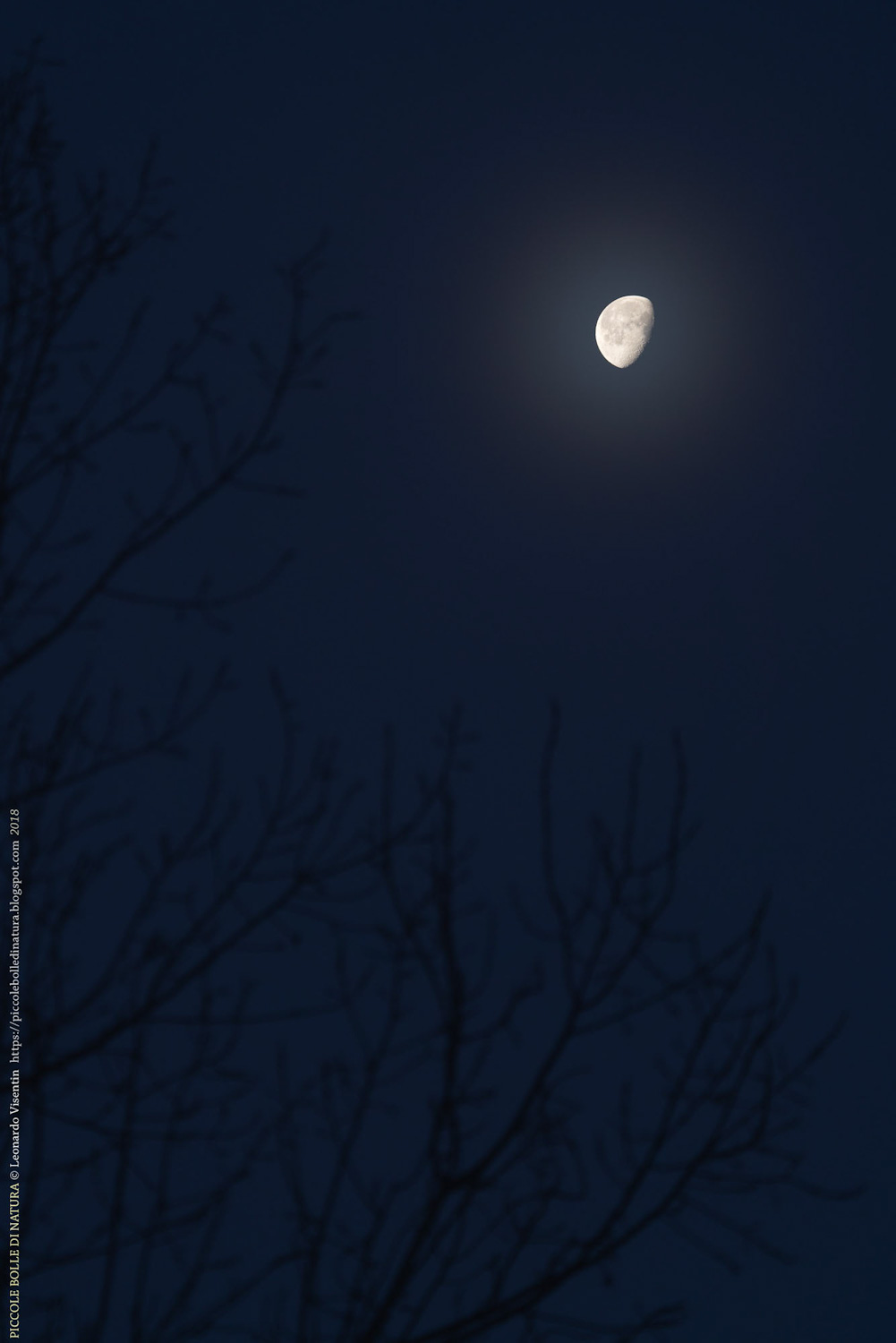 La Luna