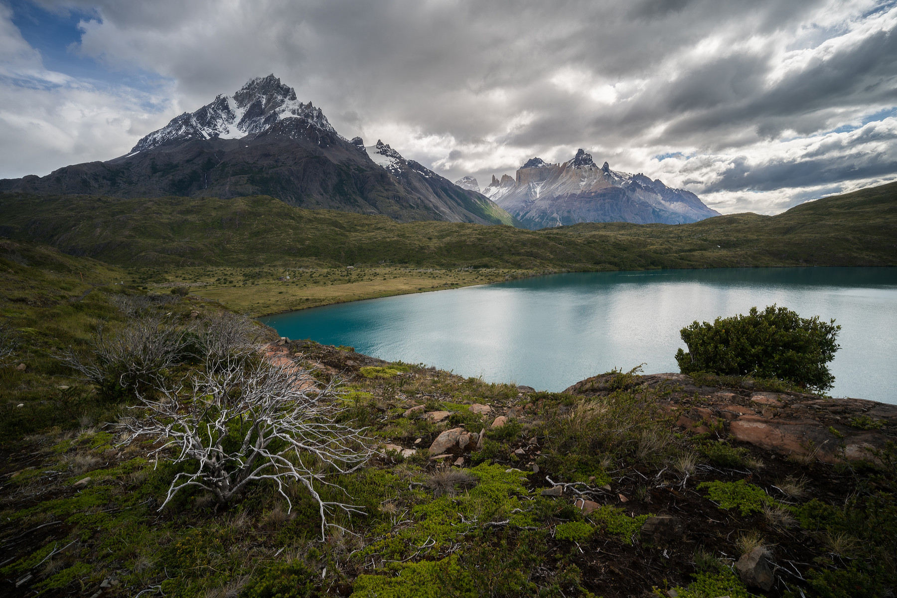 Patagonia