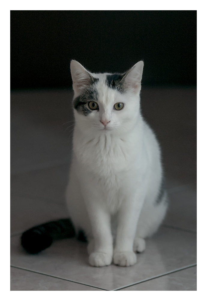 Miky