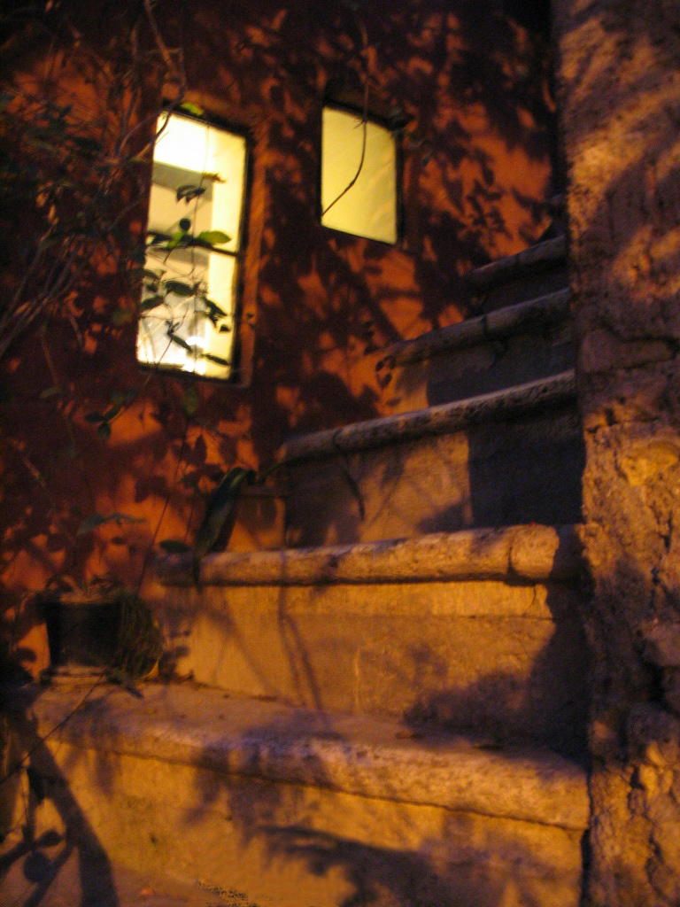 foglie e luci