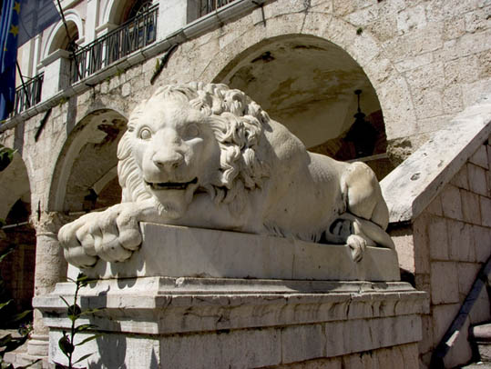 Leone di Norcia