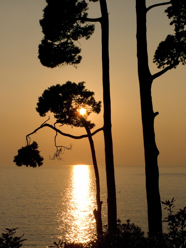 Il sole di Nervi