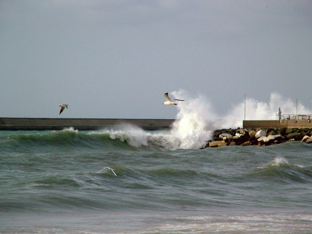 L'onda