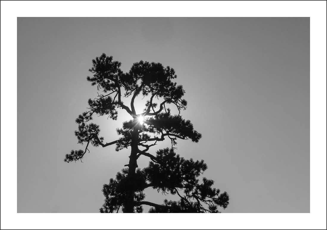 controluce