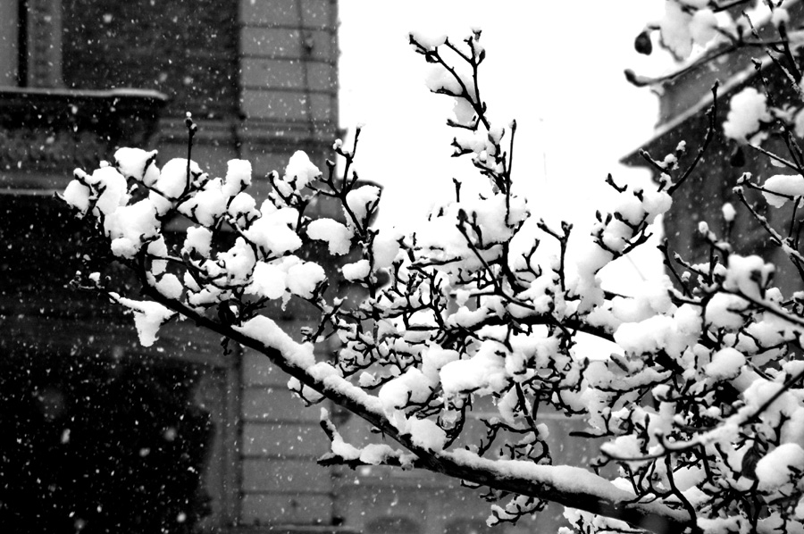 snow