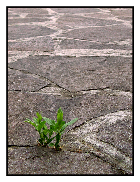 Dettagli #2