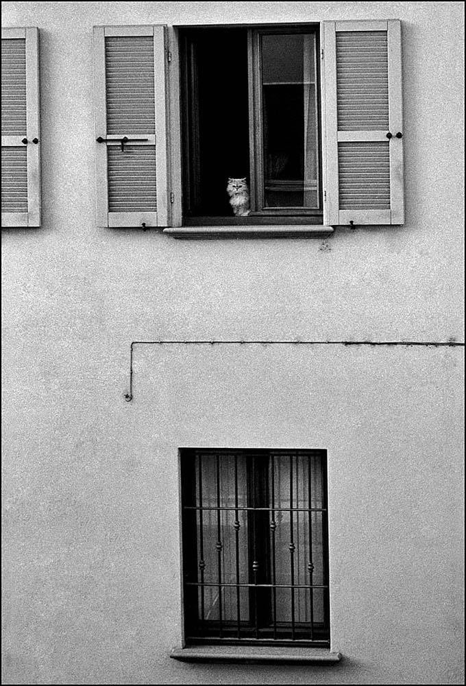 alla finestra