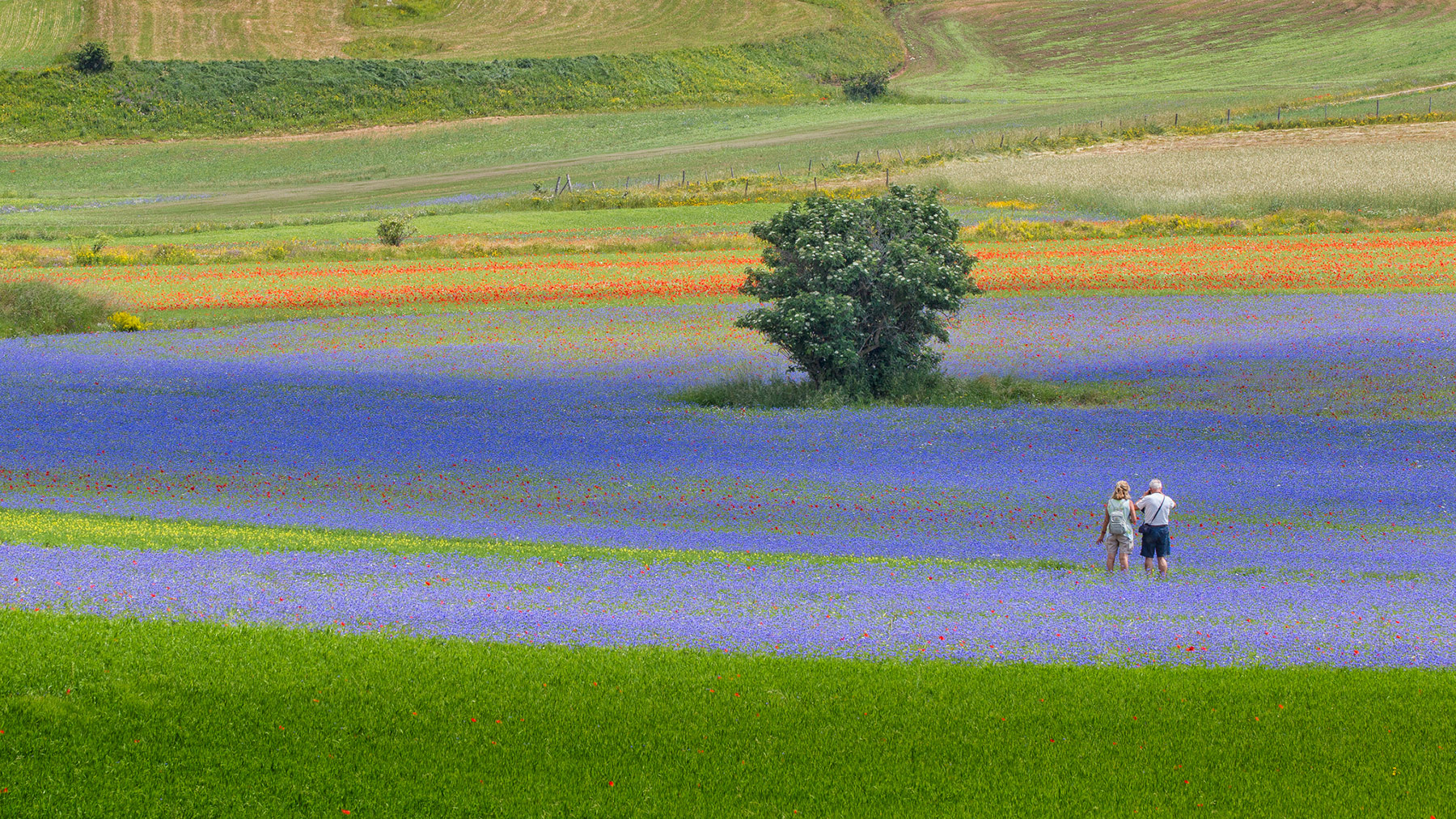 Fotografare (di fabzioi)