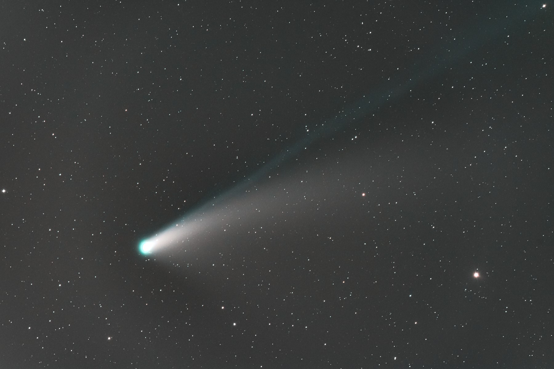 C/2020 F3 Cometa Neowise