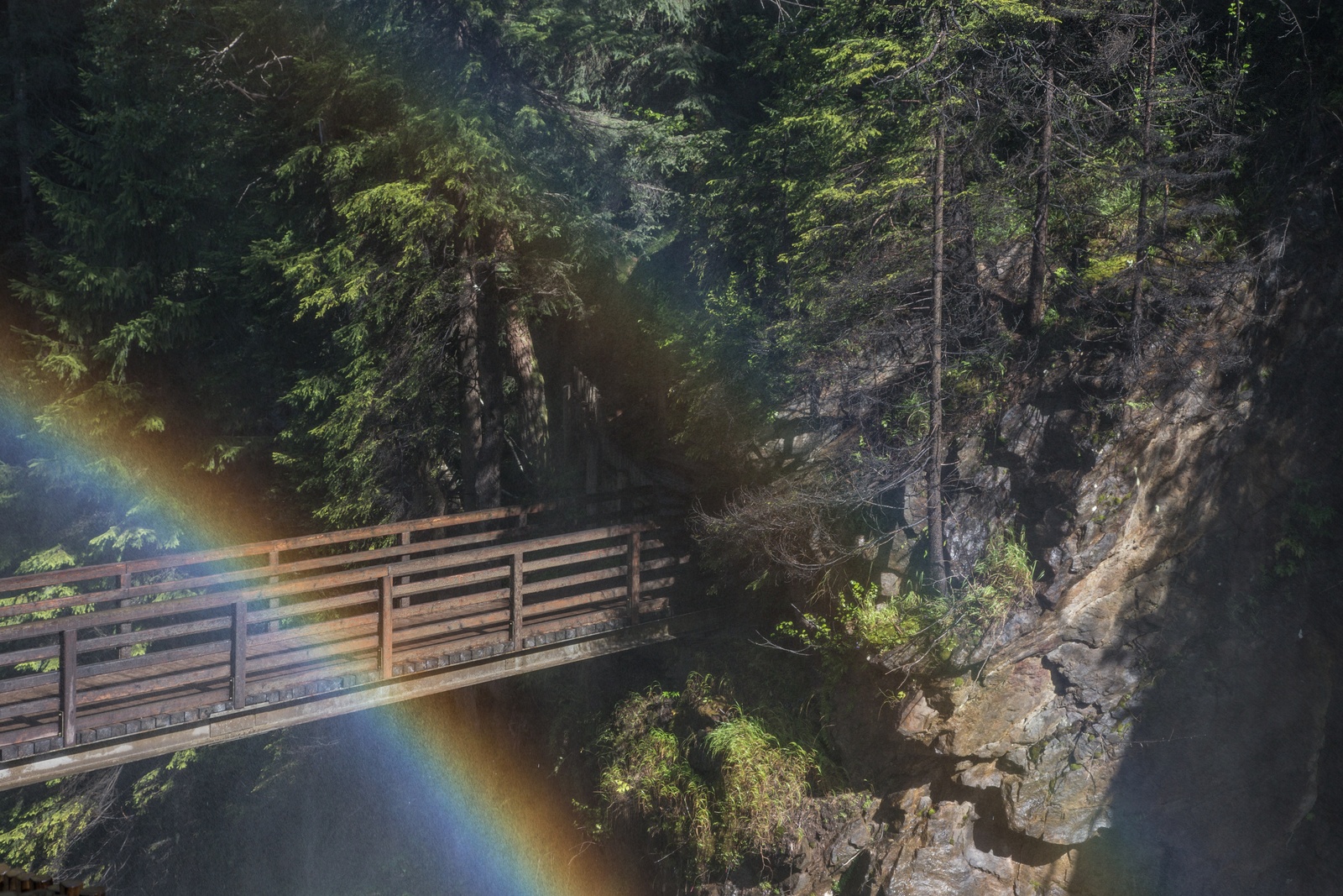 Rain bow