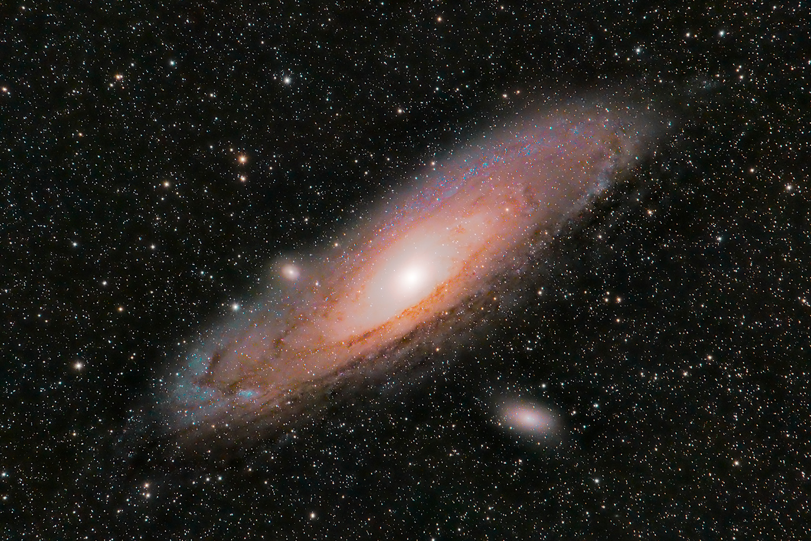 Andromeda (di Massimo Tamajo)